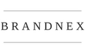https://brandnex.shop/wp-content/themes/webionlite/assets/images/retina-logo.png 2x